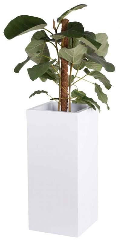 witte grote vierkante plantenbak