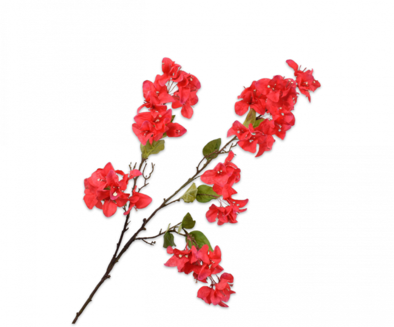 bougainvillea tak rood