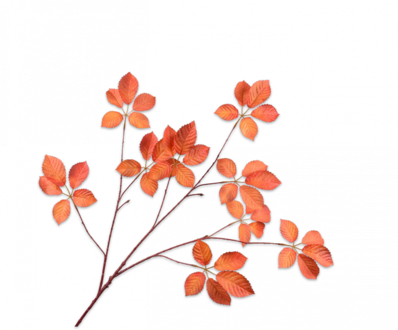 oranje kunst bladeren