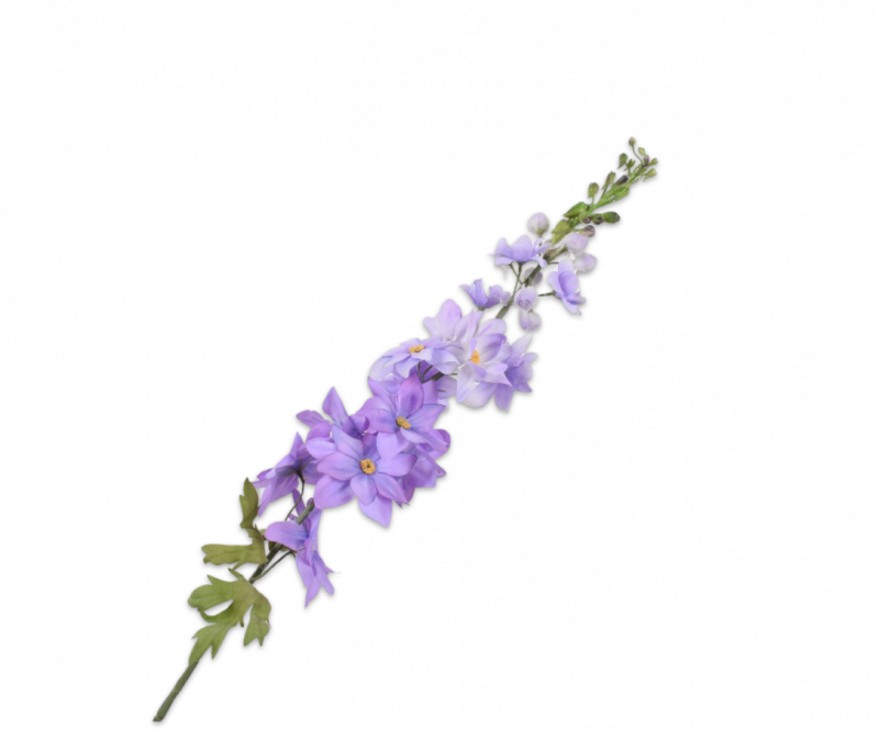 delphinium ridderspoor silkka