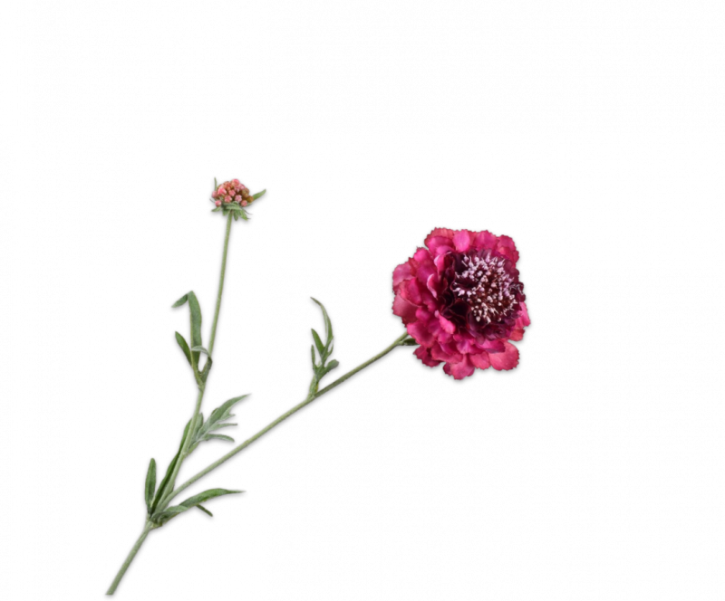 scabiosa real touch silkka