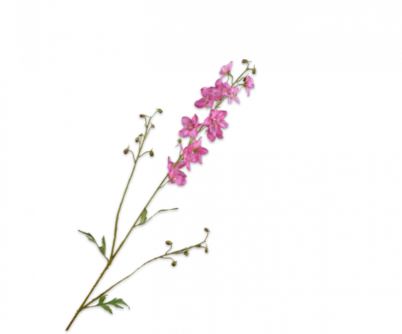 delphinium silkka roze