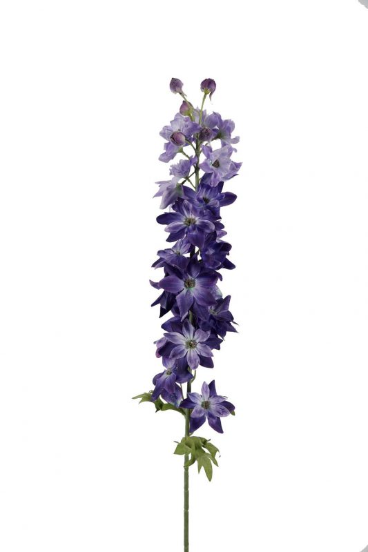 delphinium paars lila