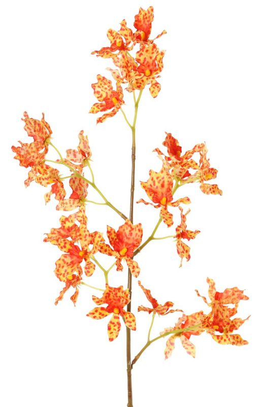 zijden orchidee oranje