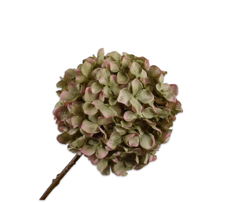 silkka zijden hortensia