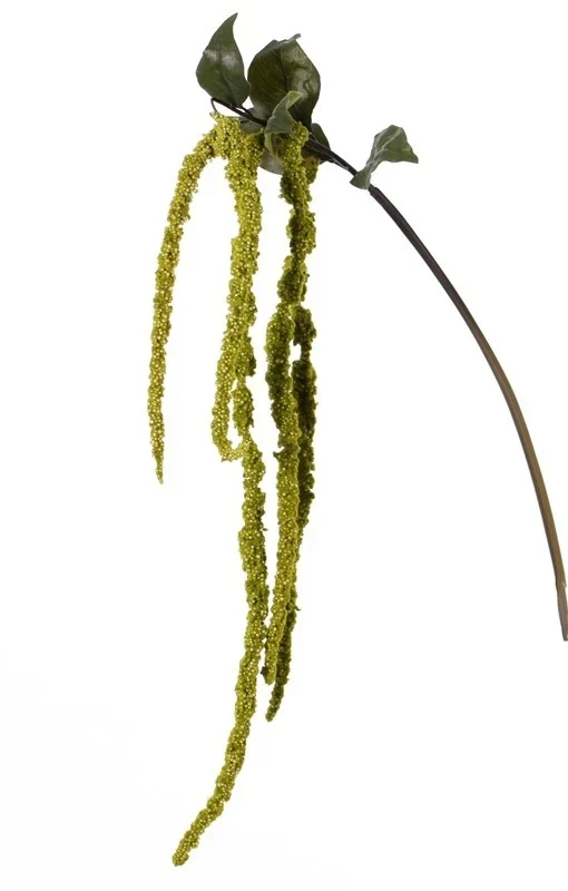 amaranthus hanger groen