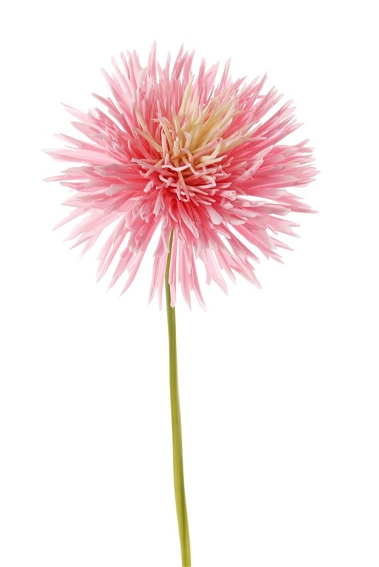 kunst chrysant