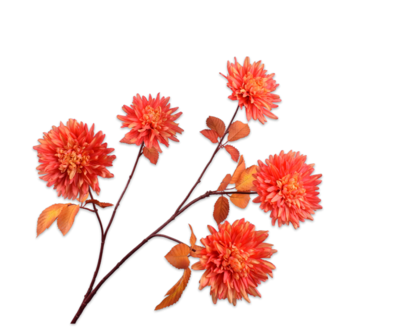 Chrysant oranje 105 cm