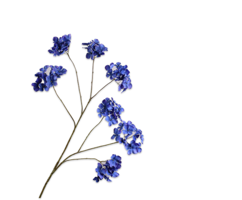 Hortensia tak blauw-paars 107 cm