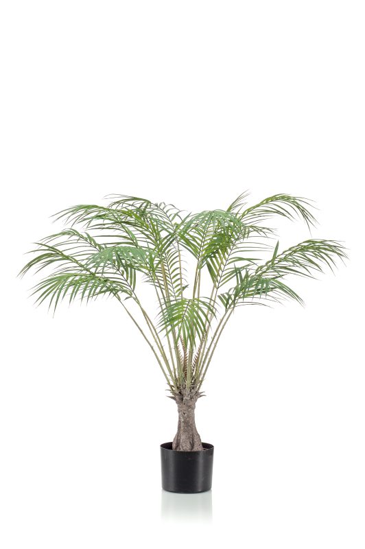 Varen/palm H100 cm