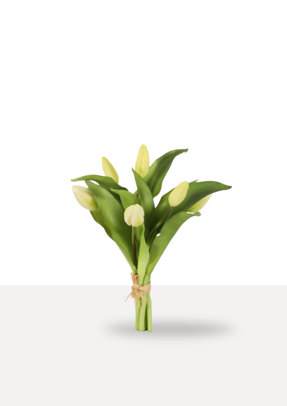 witte kunsttulpen