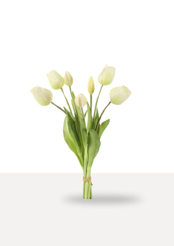 witte kunsttulpen