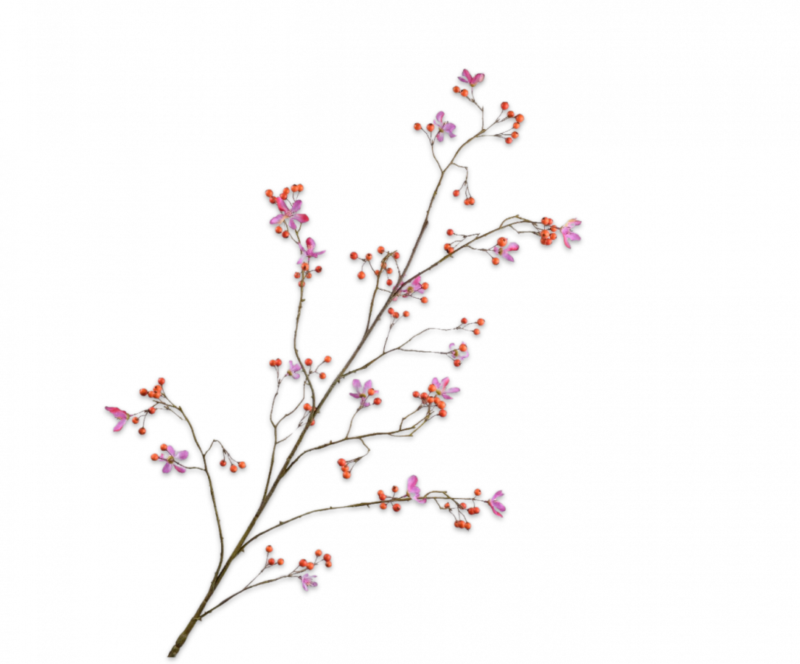 silkka bessentak oranje roze