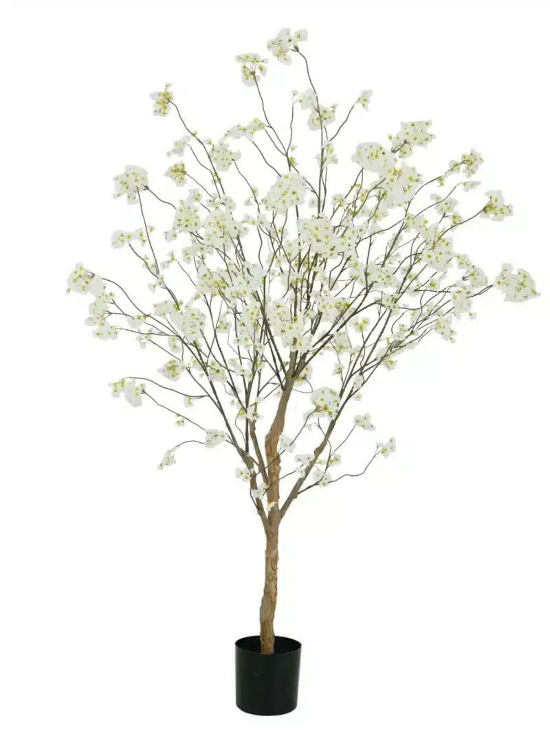 Bloesem boom wit beige op een echte houten stam 180 cm
