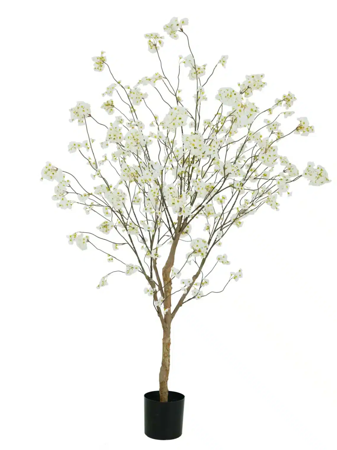 Bloesem boom wit beige op een echte houten stam 180 cm