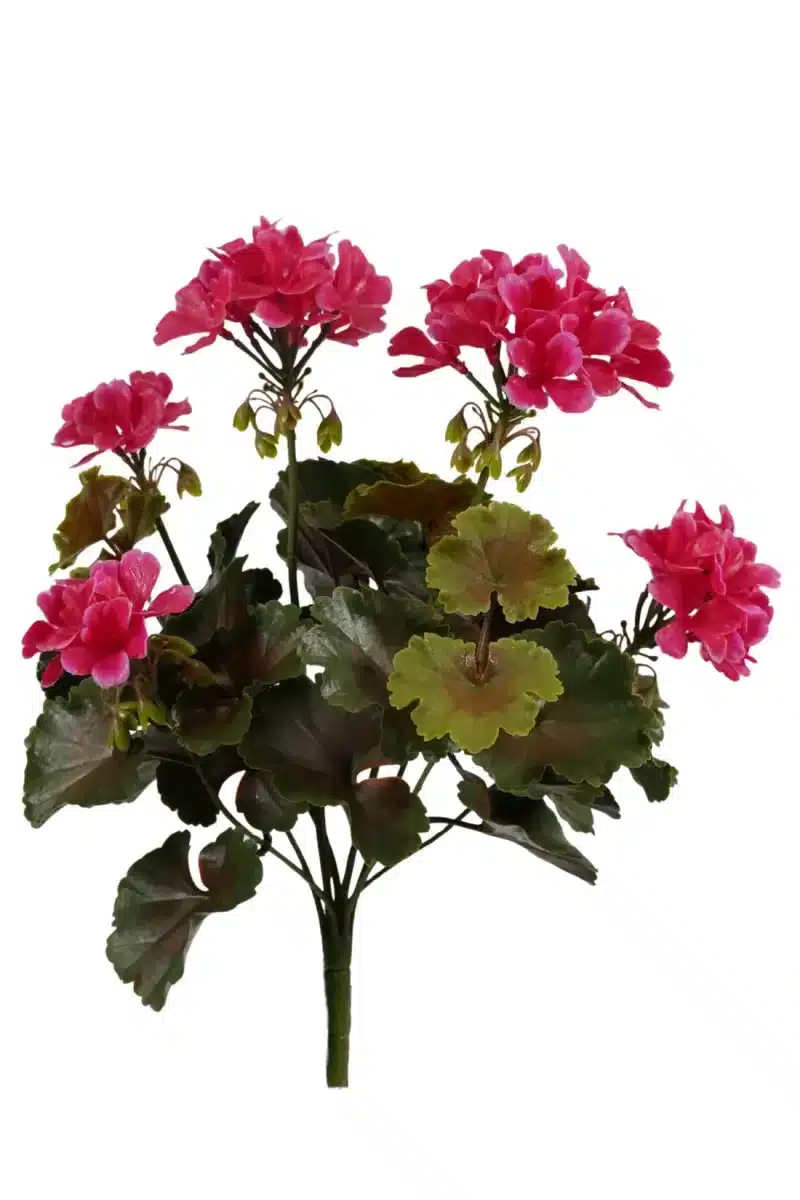 kunst geranium