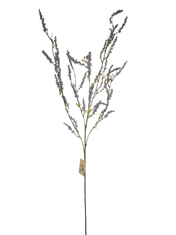 bruidsbloem lila