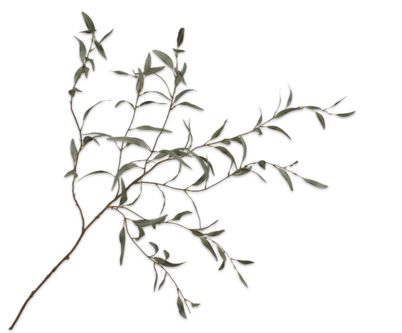 Eucalyptus tak groen 123 cm Silk-ka