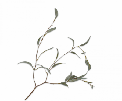 Eucalyptus tak groen 96 cm Silk-ka