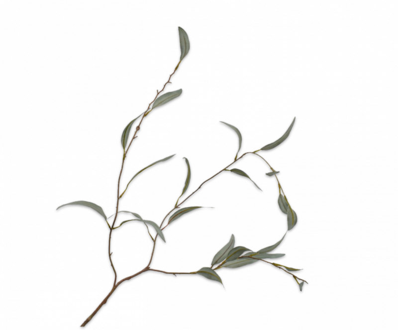 Eucalyptus tak groen 96 cm Silk-ka