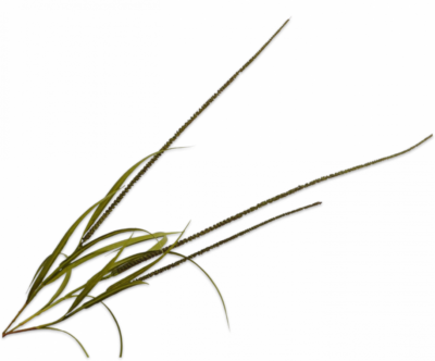 Gras tak 135 cm Silk-ka