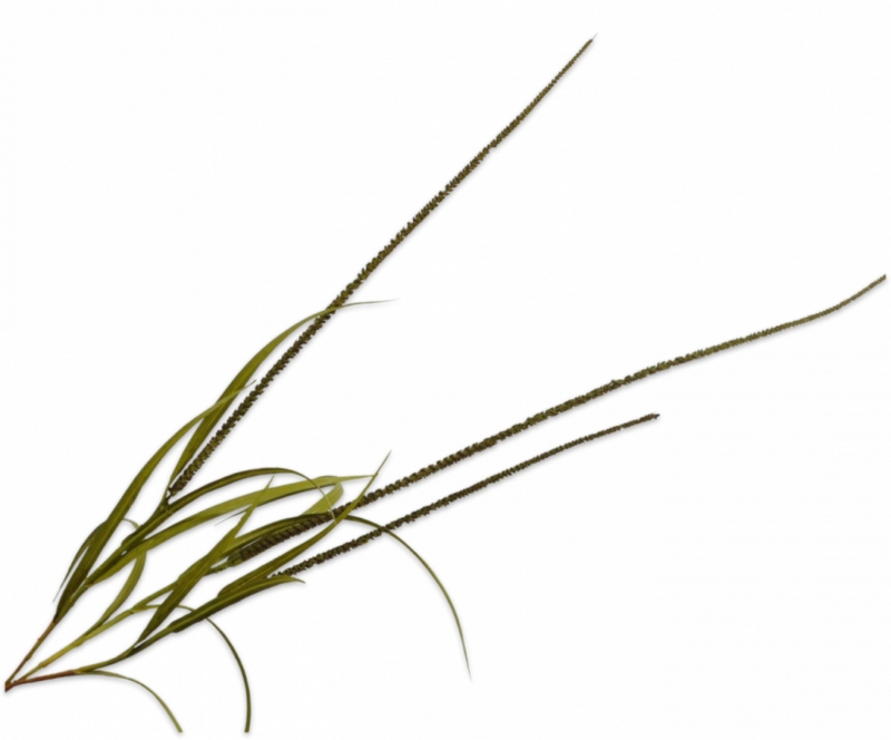 Gras tak 135 cm Silk-ka