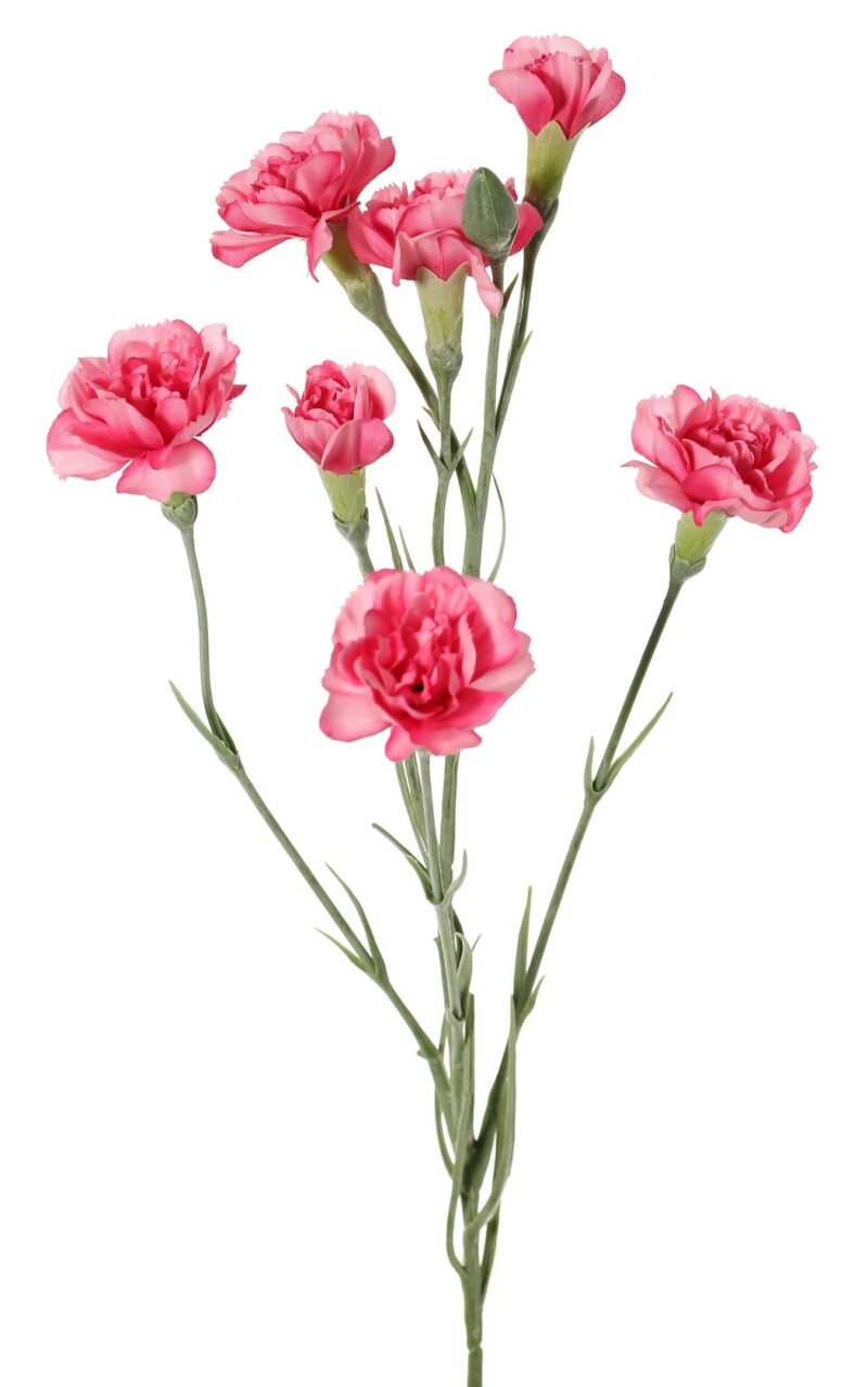 Anjer roze -H63 cm