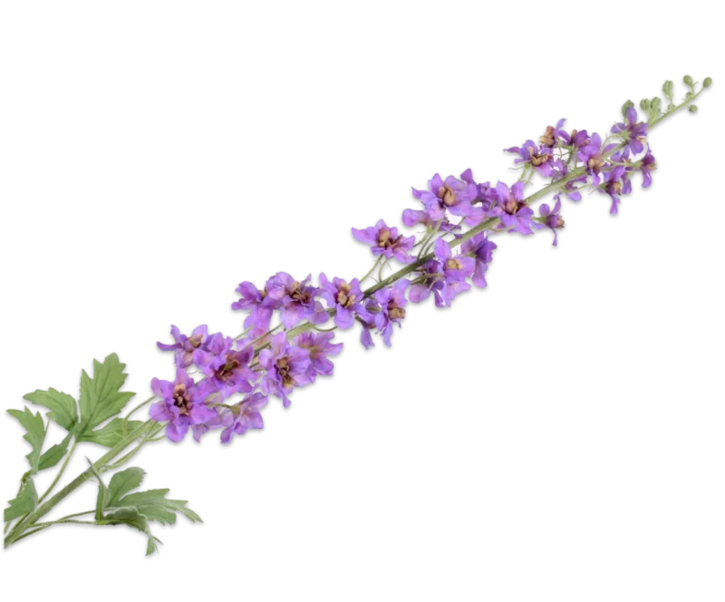 delphinium silk-ka