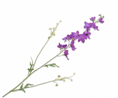 Zijden delphinium bloem