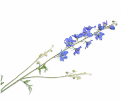 Delphinium tak lavendel blauw 101 cm Silk-ka