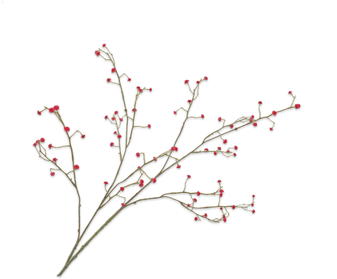 gipskruid roze