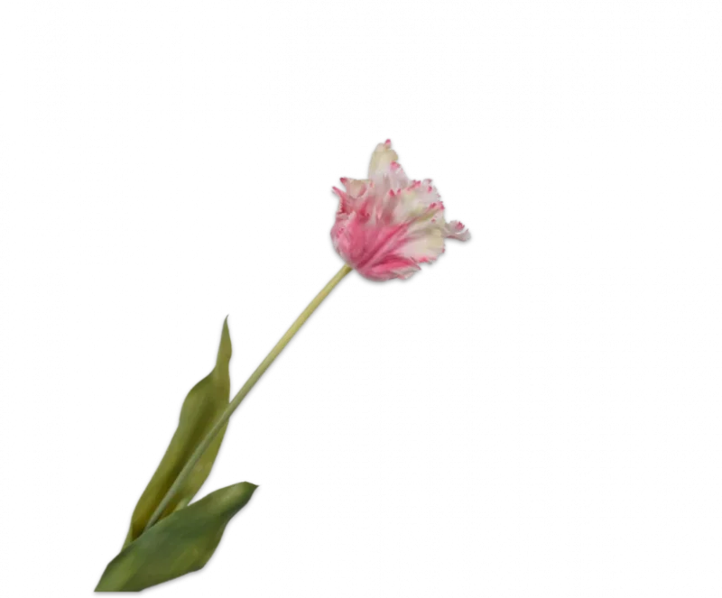 Roze witte tulp – Silk-ka Real Touch – H71 cm