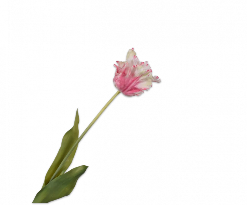 Roze witte tulp – Silk-ka Real Touch – H71 cm
