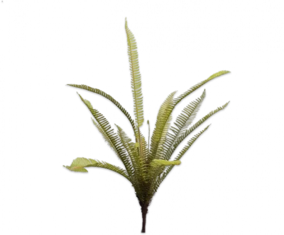 Varen groen Silk-ka - H88 cm