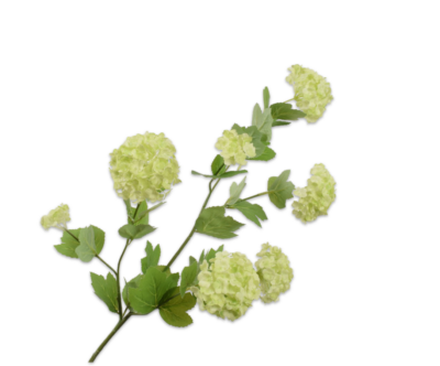 Sneeuwbal viburnum licht groen 78 cm Silk-ka