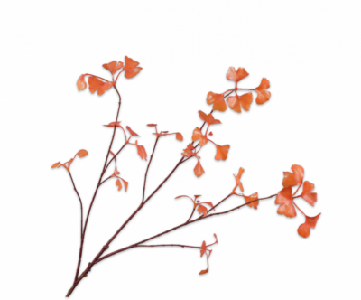 Shiny tak oranje - H96 cm