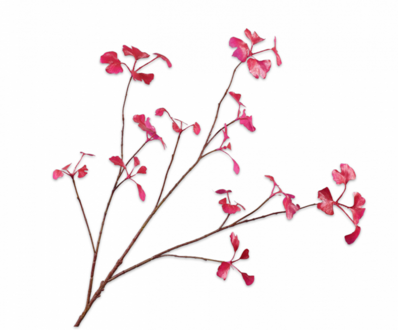 Shiny tak roze - H96 cm