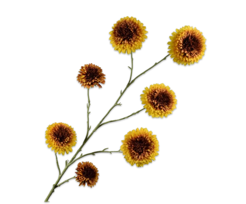 zonnebloem tak