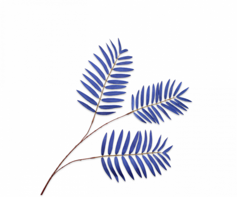 kunst varen blauw