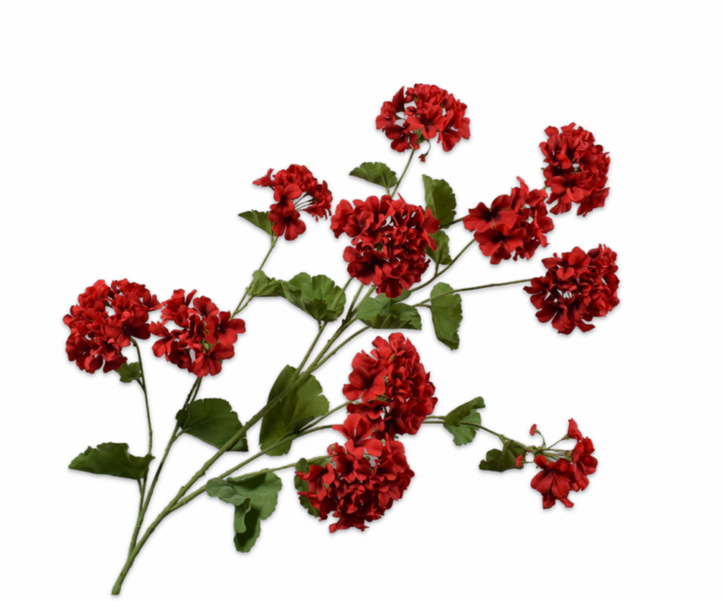 Geranium rood Silk-ka - H121 cm