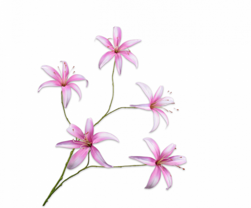 Lelie tak roze Silk-ka - H113 cm