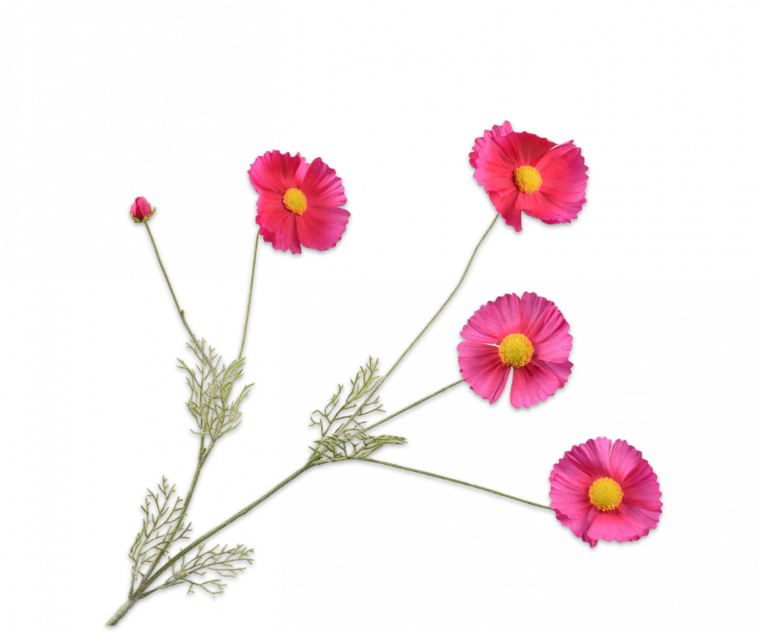 silkka zijdenbloem margriet