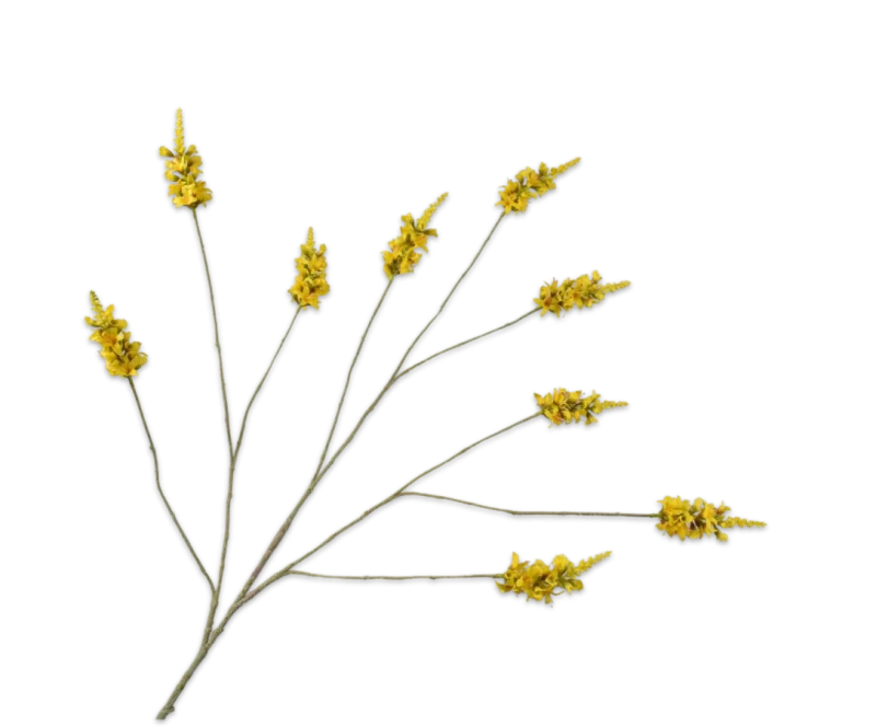 gele forsythia tak