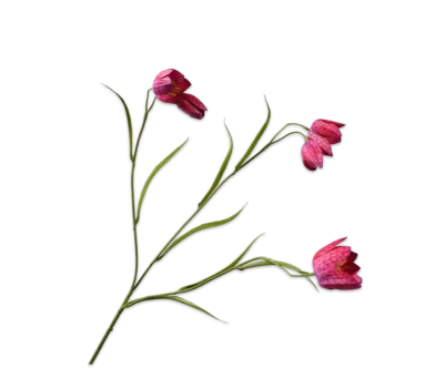 Kievitsbloem fritillaria roze - Silk-ka - H64 cm