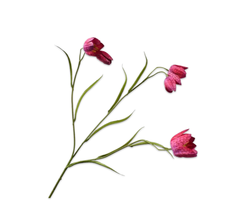 Kievitsbloem fritillaria roze - Silk-ka - H64 cm