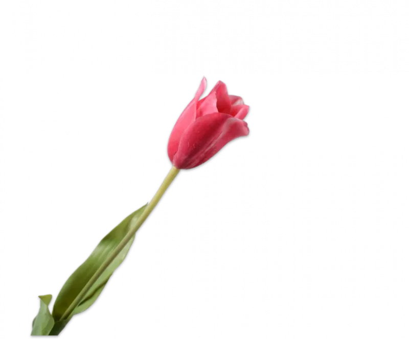Roze tulp – Silk-ka Real Touch – H72 cm