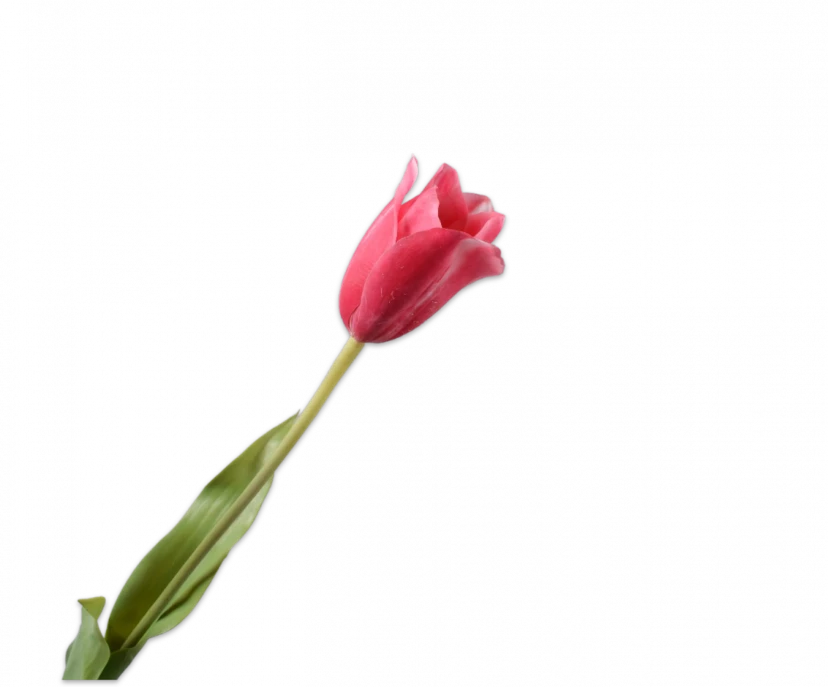 Roze tulp – Silk-ka Real Touch – H72 cm