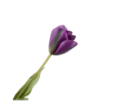 Paarse tulp – Silk-ka Real Touch – H72 cm