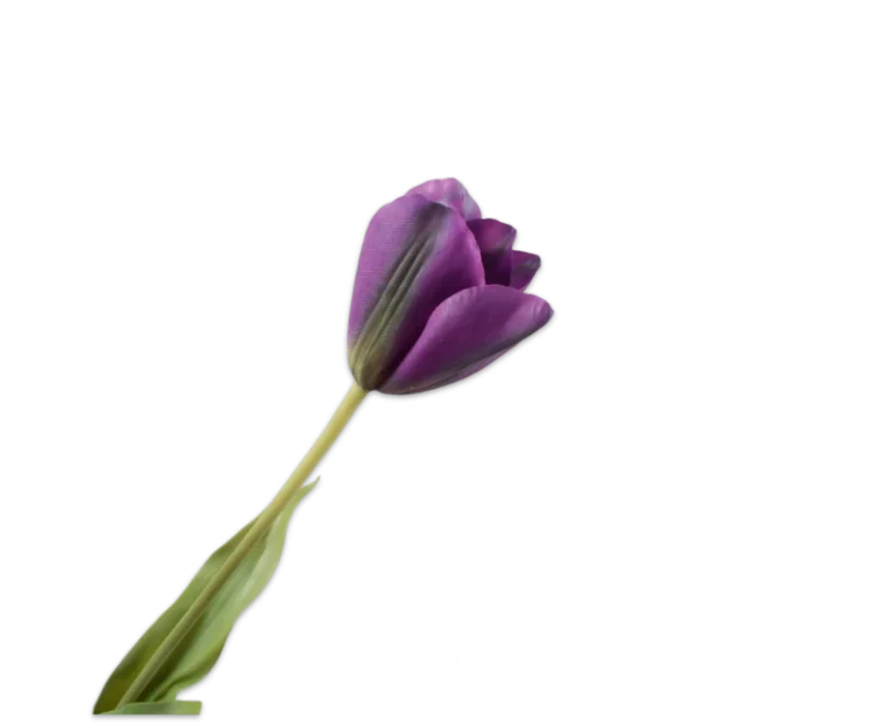 Paarse tulp – Silk-ka Real Touch – H72 cm