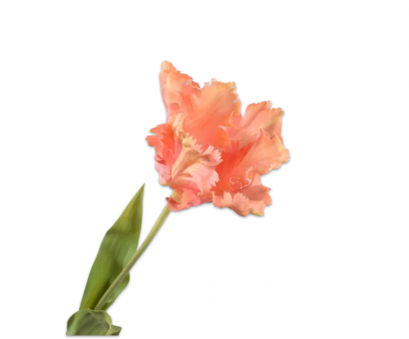 Perzik tulp – Silk-ka Real Touch – H71 cm